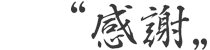 感謝20%.png
